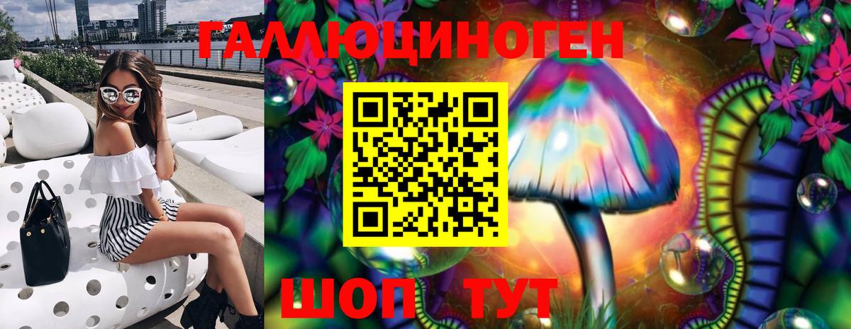 Саранск  где продают наркотики  Вход с VPN  Галлюциногенные грибы Psilocybine cubensis 